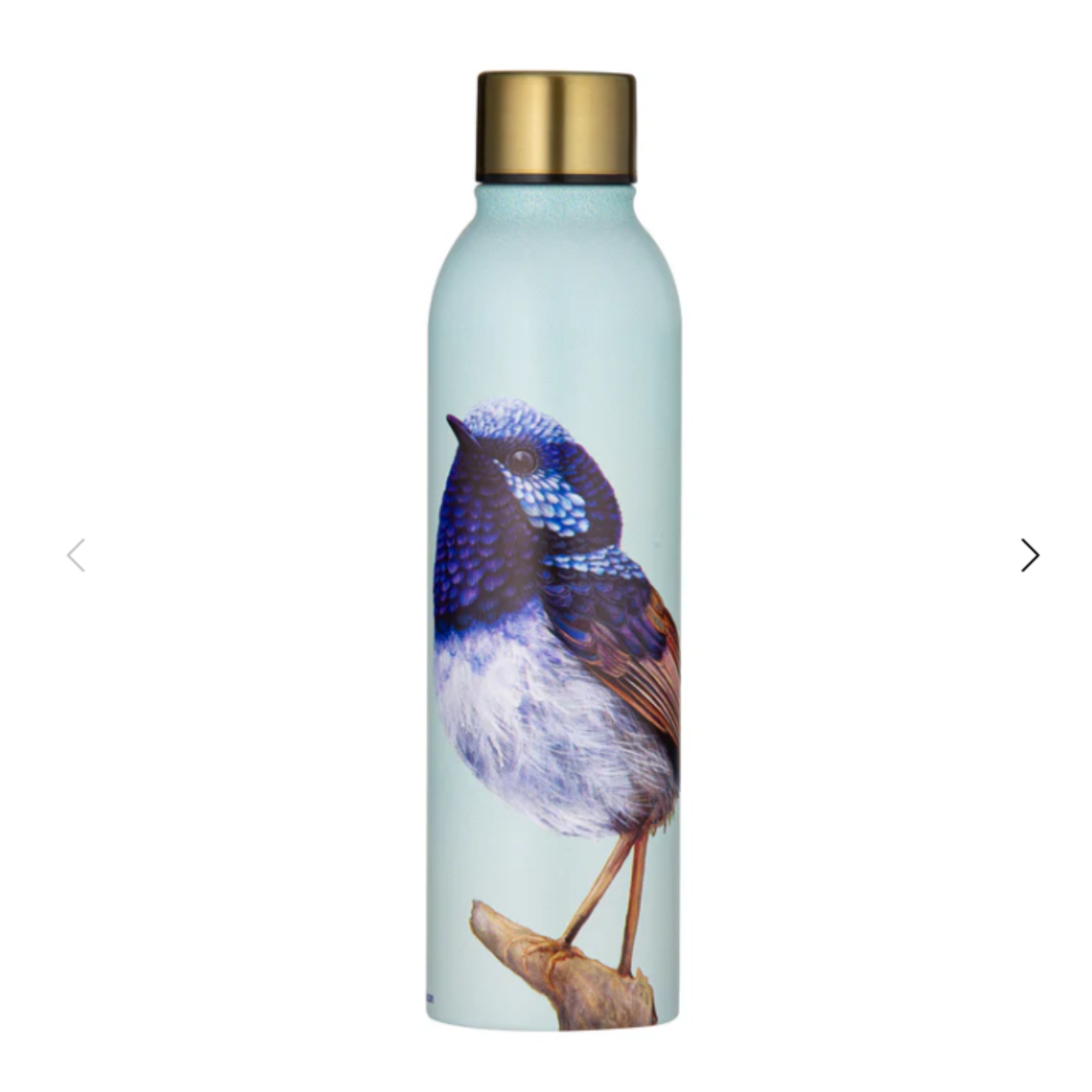 Modern Birds Wren Drink Bottle